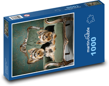 Pes - teriér Puzzle 1000 dielikov - 60 x 46 cm 