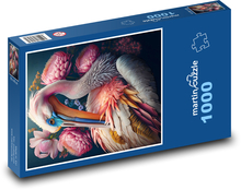 Barevný pelikán Puzzle 1000 - 60x46 cm