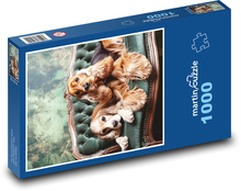 Kokršpaněl - pes Puzzle 1000 dílků - 60 x 46 cm