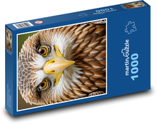 Fantazja o pawiu Puzzle 1000 elementów - 60x46 cm