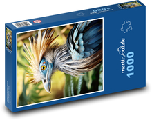 Prehistorický fantazijný vták Puzzle 1000 dielikov - 60 x 46 cm 
