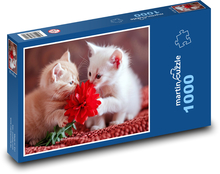 Niedliche Kätzchen Puzzle 1000 Teile - 60 x 46 cm