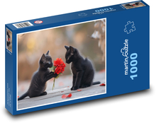 Słodkie czarne kocięta Puzzle 1000 elementów - 60x46 cm