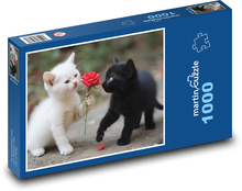 White and black kittens Puzzle 1000 pieces - 60 x 46 cm 