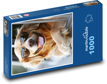 Golden retriever w okularach Puzzle 1000 elementów - 60x46 cm