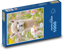 Alpala in the meadow Puzzle 1000 pieces - 60 x 46 cm 