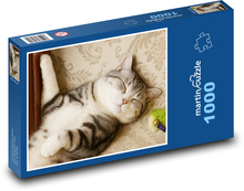 Śpiący kot Puzzle 1000 elementów - 60x46 cm