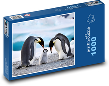 Penguins - family Puzzle 1000 pieces - 60 x 46 cm