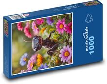 Mravec Puzzle 1000 dielikov - 60 x 46 cm 