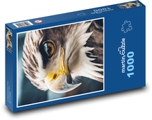 Orol - vták Puzzle 1000 dielikov - 60 x 46 cm