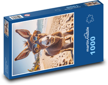 Osol v okuliaroch Puzzle 1000 dielikov - 60 x 46 cm 