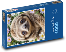 Leňochod Puzzle 1000 dielikov - 60 x 46 cm 