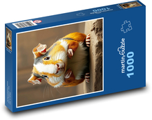 Guinea pig Puzzle 1000 pieces - 60 x 46 cm 