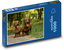 Psy - jamniki Puzzle 1000 elementów - 60x46 cm