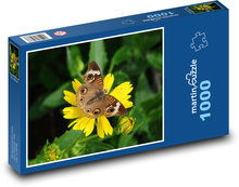 Motýl na květině Puzzle 1000 dílků - 60 x 46 cm