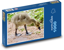 Canada Goose Puzzle 1000 pieces - 60 x 46 cm 