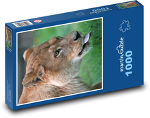 Levica Puzzle 1000 dielikov - 60 x 46 cm 