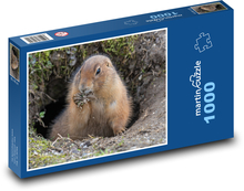 Sysel Puzzle 1000 elementów - 60x46 cm