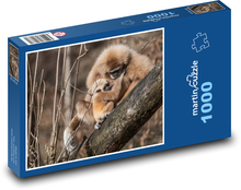 Gibbon Puzzle 1000 elementów - 60x46 cm