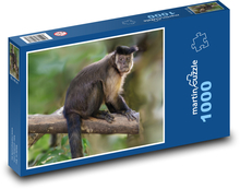 Kapucynka czubata Puzzle 1000 elementów - 60x46 cm