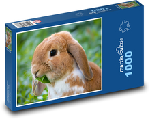 Rabbit Puzzle 1000 pieces - 60 x 46 cm