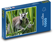 Lemur Puzzle 1000 dielikov - 60 x 46 cm 