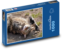 Kot Puzzle 1000 elementów - 60x46 cm