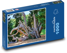 Baumwurzeln Puzzle 1000 Teile - 60 x 46 cm