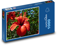 Červený ibištek Puzzle 1000 dielikov - 60 x 46 cm