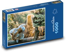 Zabawne tygrysie szczenię Puzzle 1000 elementów - 60x46 cm