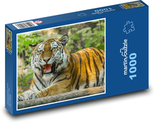 Tiger  Puzzle 1000 dielikov - 60 x 46 cm 