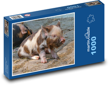 Prase Puzzle 1000 dílků - 60 x 46 cm