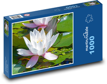 Seerosen Puzzle 1000 Teile - 60 x 46 cm