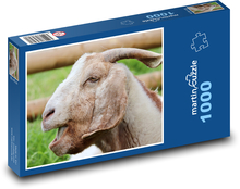 Koza domáca Puzzle 1000 dielikov - 60 x 46 cm 