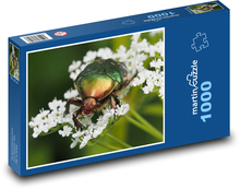 Brouk na rostlině Puzzle 1000 dílků - 60 x 46 cm