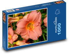Daylily flower Puzzle 1000 pieces - 60 x 46 cm 
