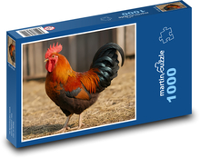 Kohout Puzzle 1000 elementów - 60x46 cm