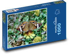 Motýľ Puzzle 1000 dielikov - 60 x 46 cm 