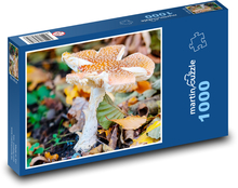 Amanita Puzzle 1000 pieces - 60 x 46 cm 