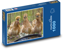 THE LIFE OF CHICKENS Puzzle 1000 pieces - 60 x 46 cm 