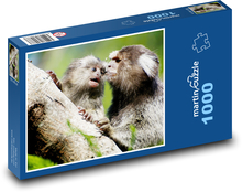 Małpy Puzzle 1000 elementów - 60x46 cm