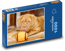 Dog Wielki z Bordeaux - pies Puzzle 1000 elementów - 60x46 cm
