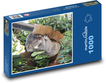 Schlafende Koalas Puzzle 1000 Teile - 60 x 46 cm