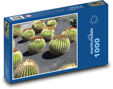 Kaktusgarten - Lanzarote Puzzle 1000 Teile - 60 x 46 cm
