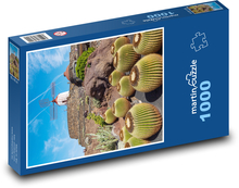 Kakteen - Lanzarote Puzzle 1000 Teile - 60 x 46 cm