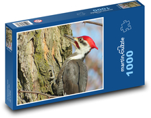 Ďateľ Puzzle 1000 dielikov - 60 x 46 cm 