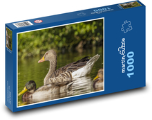 Husy na vodě Puzzle 1000 dílků - 60 x 46 cm