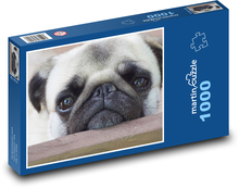 Pes mops Puzzle 1000 dílků - 60 x 46 cm