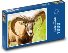 Muflon łąkowy Puzzle 1000 elementów - 60x46 cm