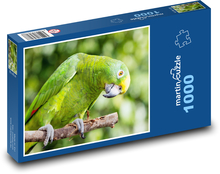 Papoušek - Amazon žlutokorunný Puzzle 1000 dílků - 60 x 46 cm